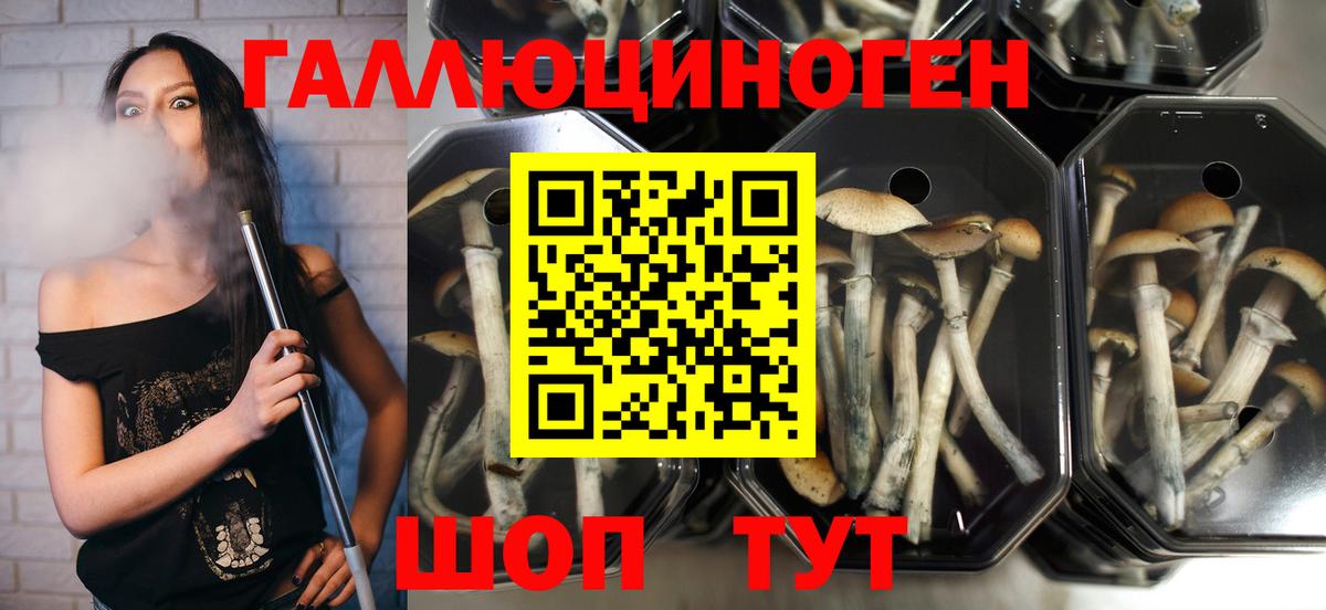 Галлюциногенные грибы ЛСД  Галлюциногенные грибы MAGIC MUSHROOMS  Вход с VPN  Смоленск 